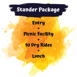 College/University Students Package(Standard)