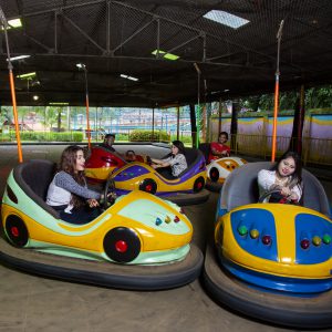 BUMPER CAR