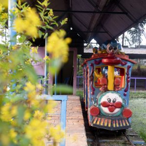 TRAIN